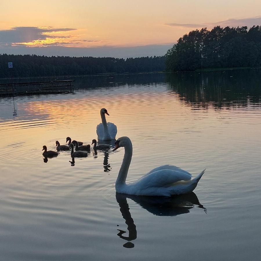 Domek Letniskowy U Marcina I Ani Борск Экстерьер фото